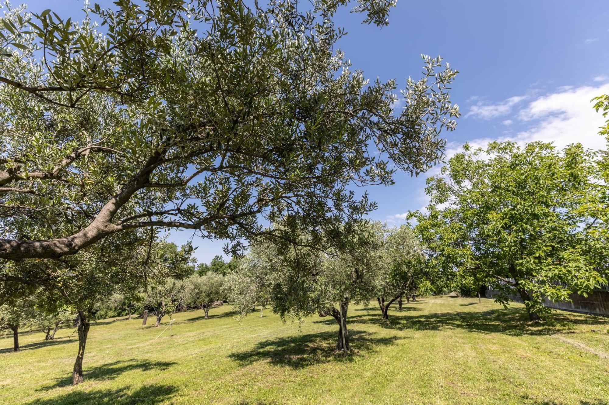 Affittacamere Cigui Muggia Exterior foto