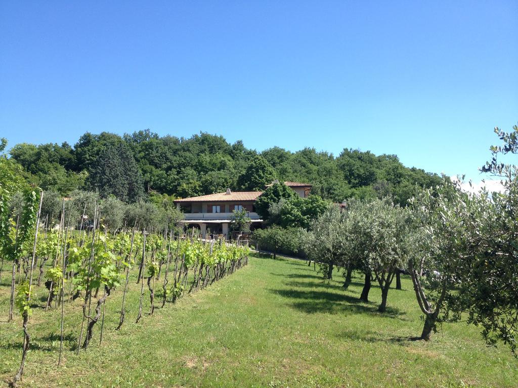 Affittacamere Cigui Muggia Exterior foto